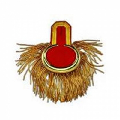 Epaulettes
